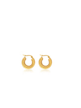 Load image into Gallery viewer, The Kylie Hoop Earrings