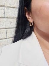 Load image into Gallery viewer, The Paradisa Earring