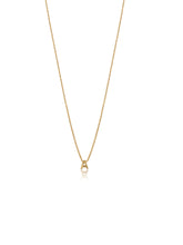 Load image into Gallery viewer, The Customizable Initial Necklace
